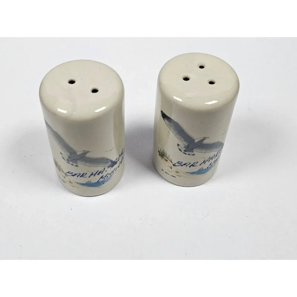 Bar Harbor Maine Seagull Beach Salt and Pepper Shaker Souvenir Set
